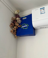 �յ���װ���ף�����ڳ�