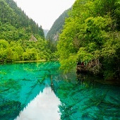 �б�Ҫ��������������