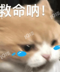 �򷿣�Ůҵ��ͬ���ˣ� �����־���̫�ͣ� ����ɶ�ð취�Ƶ���
