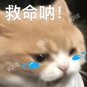 ����С�����Ƽ�����˵�º�Ժ�ӵ�����ô����