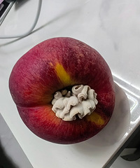 �������泤��  ����ɶ  �ж���