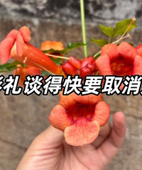 �з���ĸ��Ѳ������������Լ��ҡ���