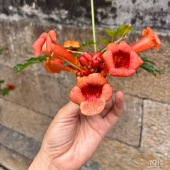 ���񵽵׹�˭��