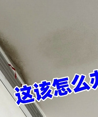 �յ���ǽ�����ˣ�����ʲô�������û�ж��ġ�