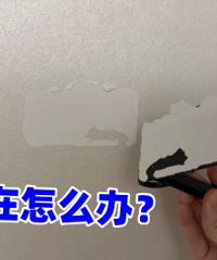 ����Ū��������ǽ�Ͽ��ԹҰ�����...