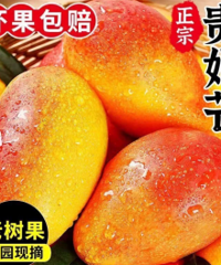 ���ں��Ϲ���â��Ƥ�˱���� ������90%