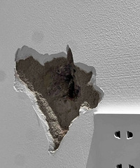 ���ڵĿ�������ô�ܰ�¥�������ô����