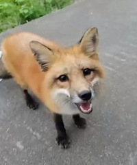 [����]������������·���������ӣ��ǳ��ź�������