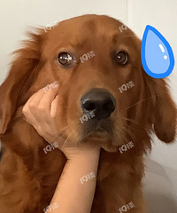 [Ϊʲô]�÷����ո�����ôŬ����80���90��...