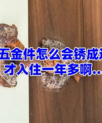 ������һ��������ô�������������