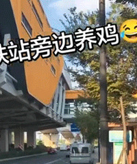 ����������ΰ���