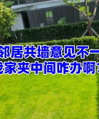 �����ھӹ�ǽ�����һ�£����м�զ�찡��