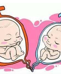 ��ǰ��֪�������Ա�