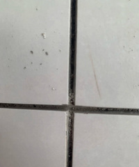 �����ͳ������ˣ���ש�������ʦ�����⣿