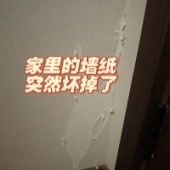 ǽֽͻȻ�������޸���