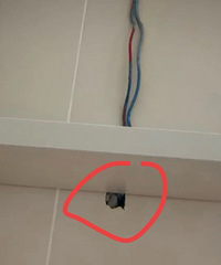�������ϴ�ֳ��ϵĹ��Ӵ���ľ������ˣ�