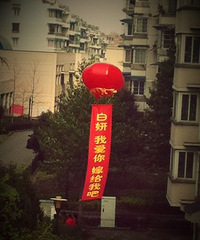 "小区里面飘起求婚条幅 好浪漫"