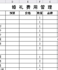 【分享】猫太的婚礼升级表格帖(前期费用人员流程婚车物品)