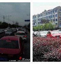 "【实验直播完毕】杨梅还是用盐水洗比较好,尽量不要吞核"
