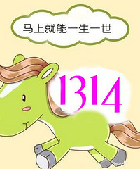 走过一生携手一世,1314让我们报道继续到天荒地老