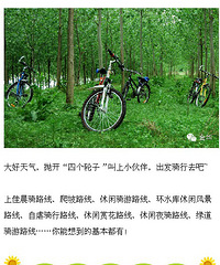 金华骑行必备10条路线 求收藏!