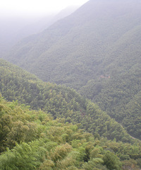 北山向北的兰溪三个避暑村庄