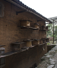 美丽的土楼村寨-婺源九阄里