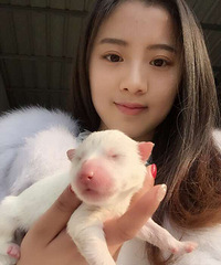 超级萌萌哒,大家喜欢吗?我家小雪太厉害了