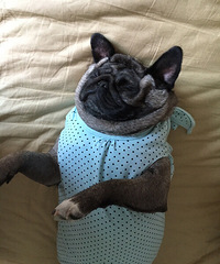 ��Ȯ����+�Է�˯���ճ�