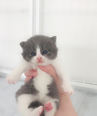 ���۵ܵ�����