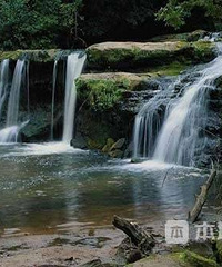 "全国十佳生态休闲旅游城市 我为浦江自豪"