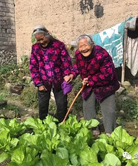 "浦江一对双胞胎相伴一个世纪 长寿的秘诀是…"