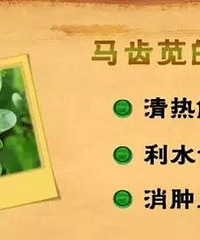 "这野菜风靡欧洲,中国遍地有,是高血压 糖尿病和白头发的克"