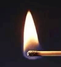 "卫生间有臭味儿,简单一招就能解决,不花一分钱"