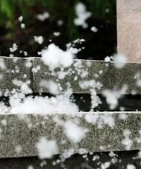 "紧急提醒!义乌要下“大雪”啦,有人因此眼睛红、皮肤痒、喷嚏不