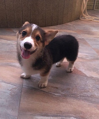 �»�DD����Ե����