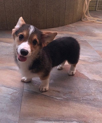 �»�DD����Ե����