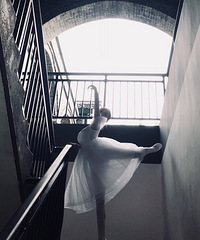 ����������������������Į