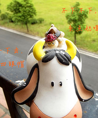 草帽龟偶遇记