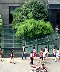 爆料:华瑞房产门口怎么那么多人