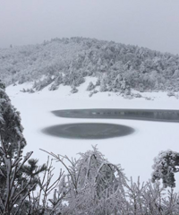 尽是这一场雪