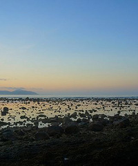 在纯净的世界里,看最唯美的风景