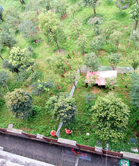 ����Ĵ���������������̵��￪����ֳ����