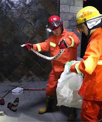 ��119���ж����ٰ������ٱ���ս��Һ��ΧȦ�еġ��񱩡�ޭ��