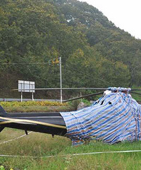 ����Ǯ���ԡ��㽭�ٰ�һ��ֱ�������������Ĳݵ�