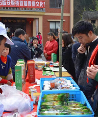 �������� ������� --- ���ٰ�����12�վٰ��׽�����Ļ���