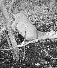 ���ڵİ������� �������������度������÷��¹ �����㽭ɭ�ֹ���