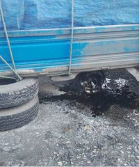 ������������ʻ������̥���ðŨ�� �ٰ�������ʱ�˾ȱ�����Ԫ��