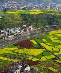 �������������������ũҵ������ҵ �ٽ�ũ������