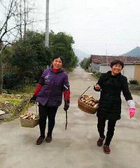 ̫��Դ�����ƴ壺�弯���ʲ�ʵ�С��������ߡ�